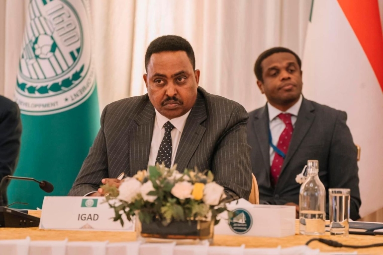 السكرتير التنفيذي للإيقاد