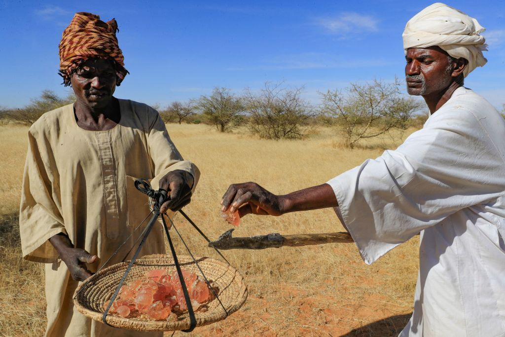 سودانيان وكمية من الصمغ العربي