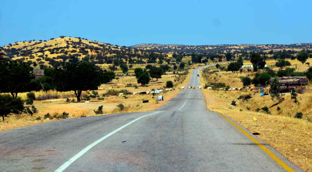 طريق زالنجي - الجنينة