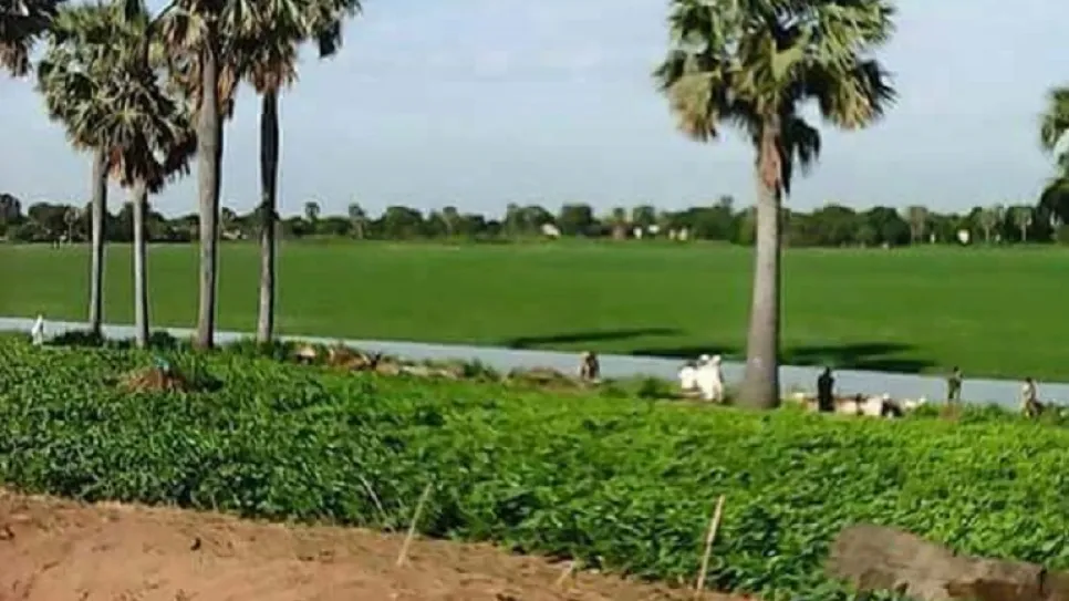 أمدافوق.jpg