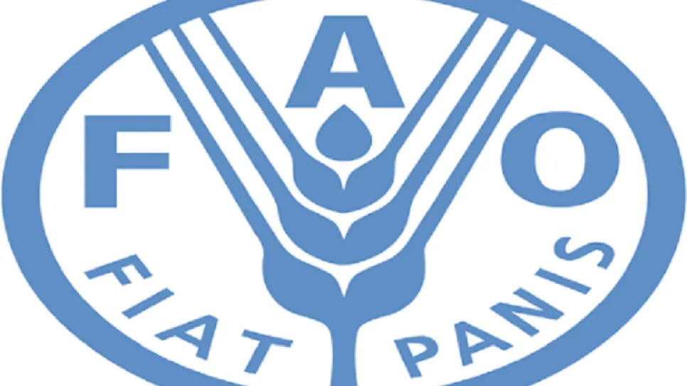 فاو.png