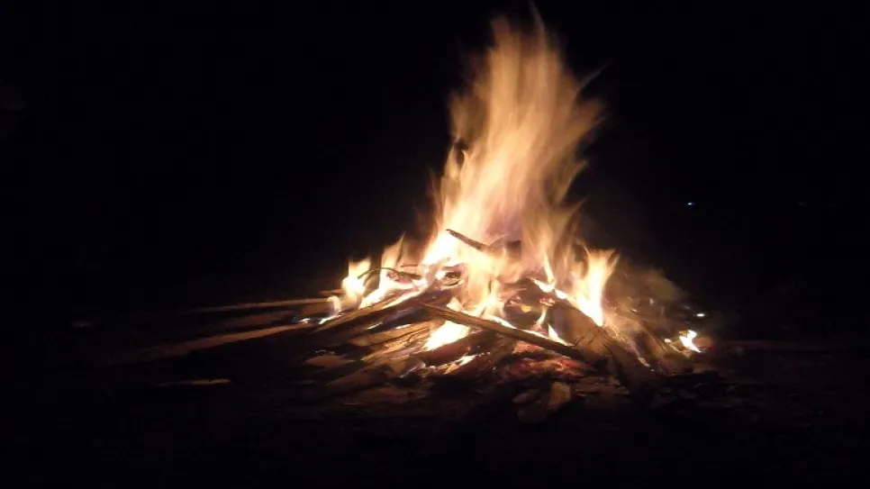 1200px-Burning_wood.jpg