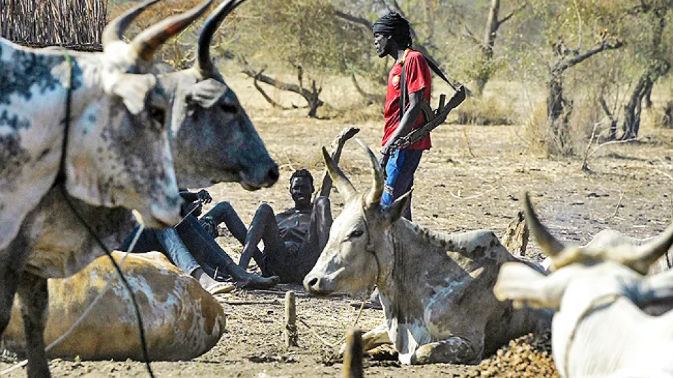 احدي معسكرات الابقار بجنوب السودان.jpg