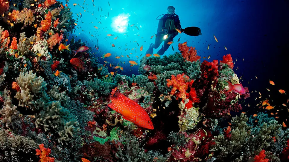 GettyImages-549036569.jpg