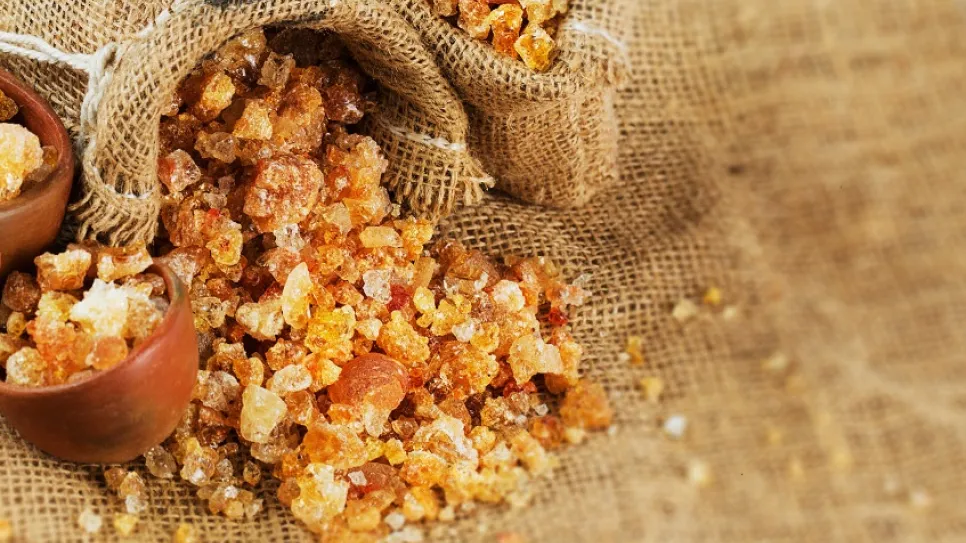slide-gum-arabic.jpg