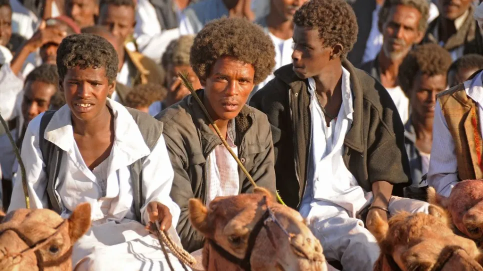 بجا.jpg