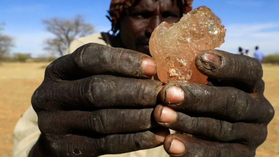 مزارع سوداني يمسك قطعة صمغ عربي.jpg