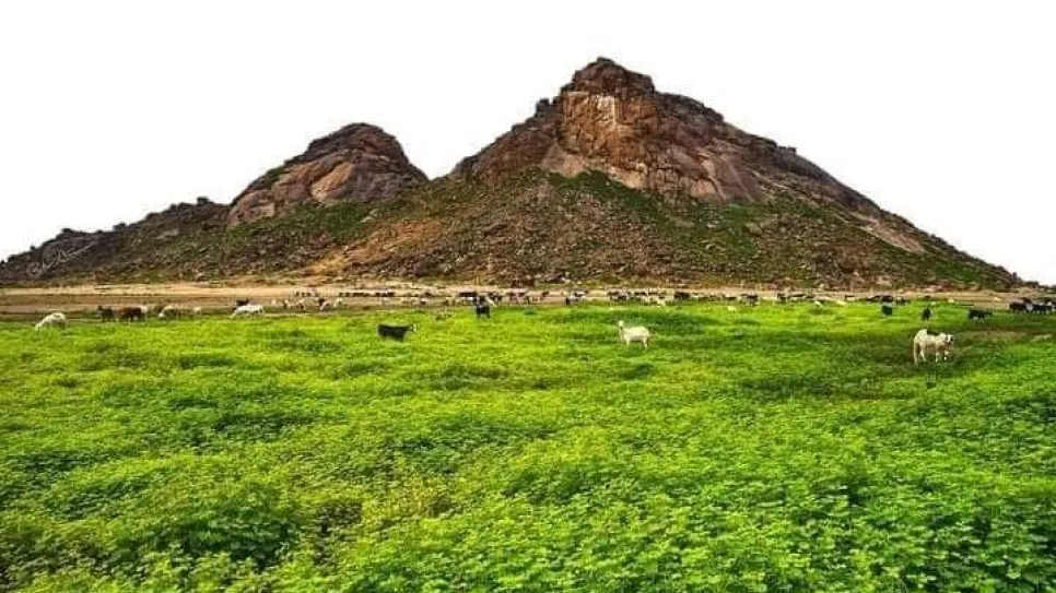 جبل موية (2).jpg