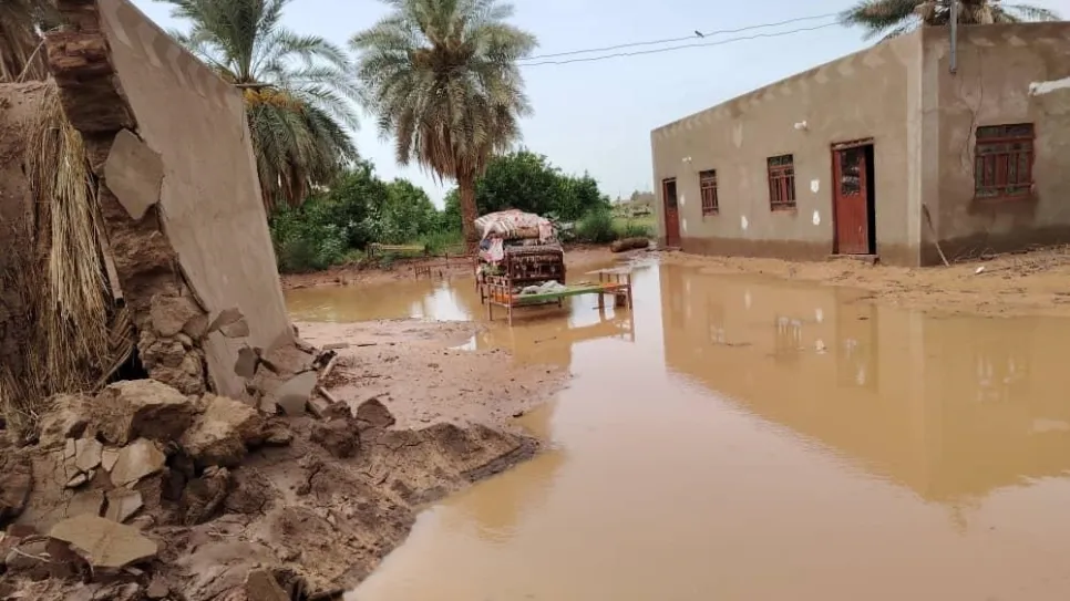 السيول في كرقس.jpg