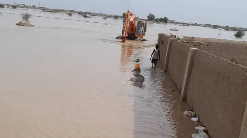 سيول العبيدية.jpg