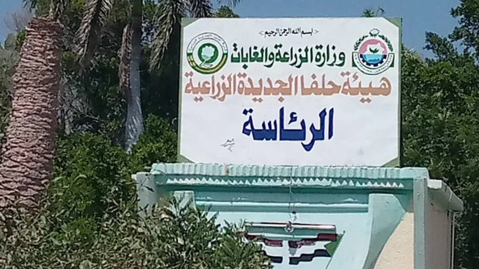 هيئة حلفا الزراعية.jpg