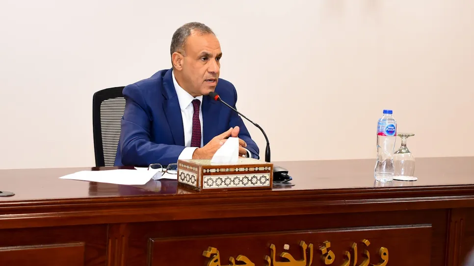 وزير الخارجية المصري - وزارة الخارجية.jpg