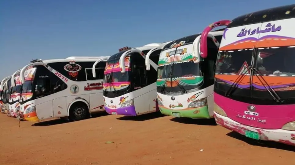 Buses.jpg