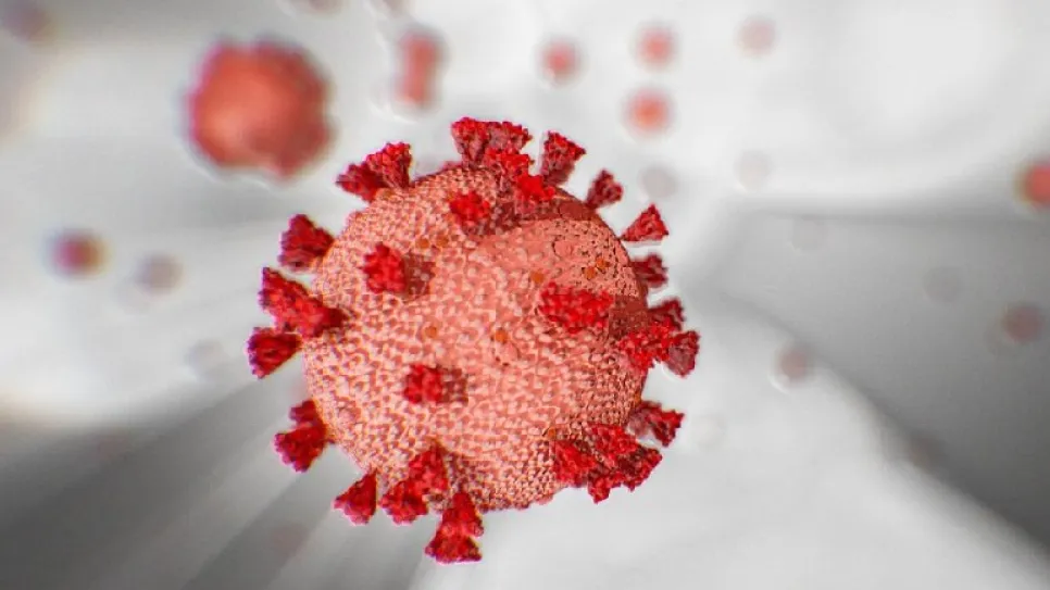 Coronavirus.jpg