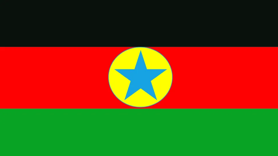 Flag_of_the_Sudan_Revolutionary_Front.svg__0.png