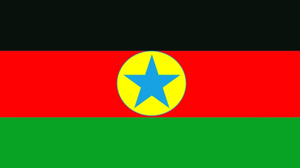 Flag_of_the_Sudan_Revolutionary_Front.svg__1.png