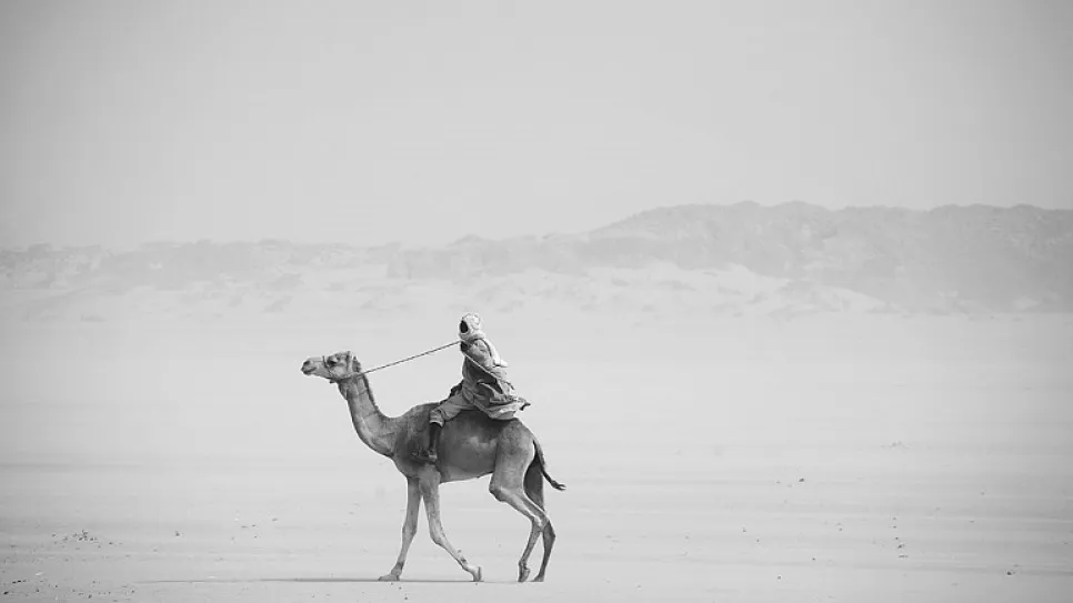 GettyImages-80051419.jpg