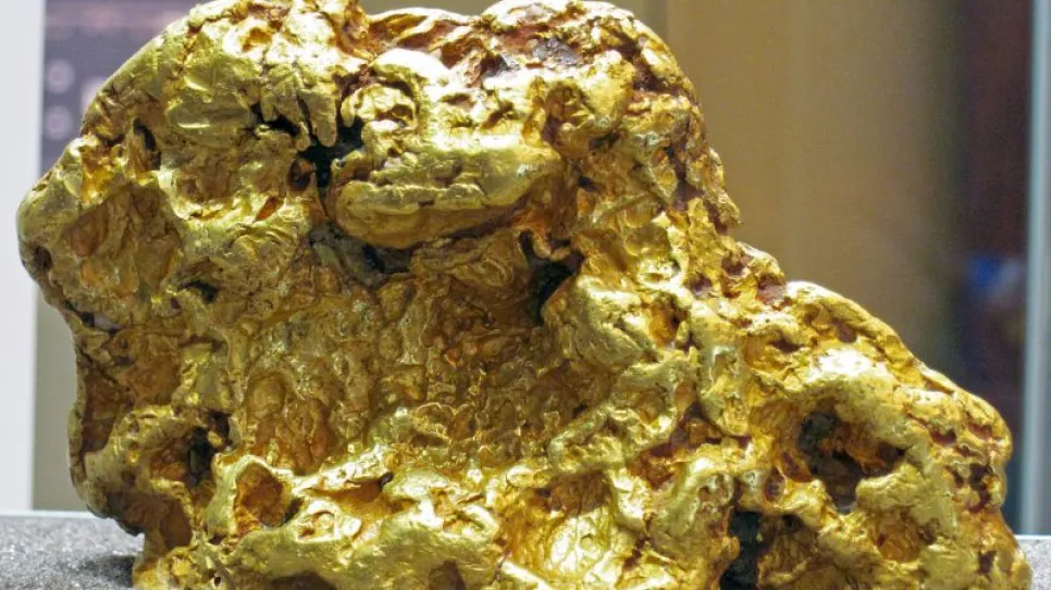 Gold Nugget.jpg
