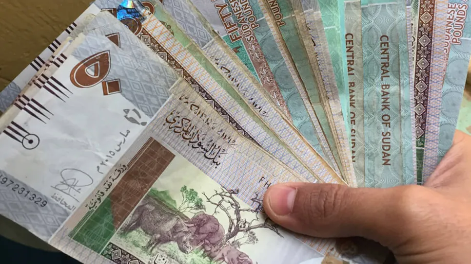 Sudan-currency-sudan-money.jpg