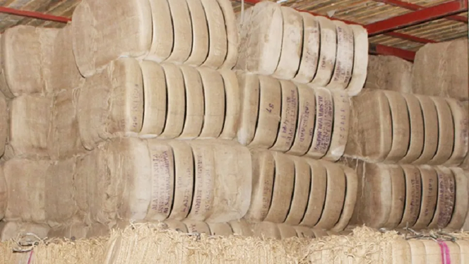 about-jute.jpg