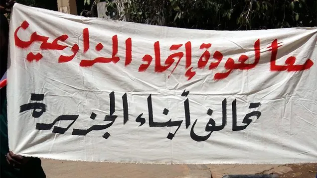 إذاعة ولاية الجزيرة- تحالف.jpg