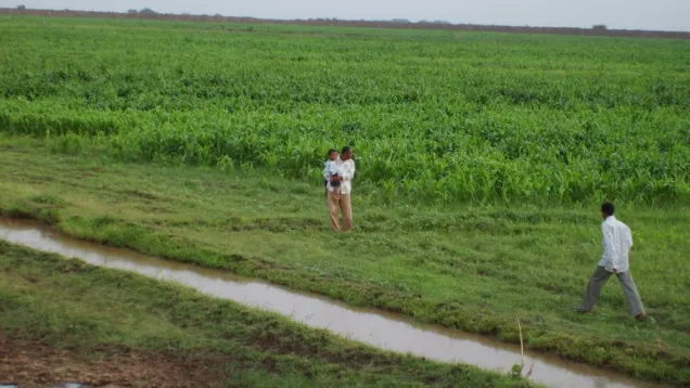الزراعة- السوداني.jpg