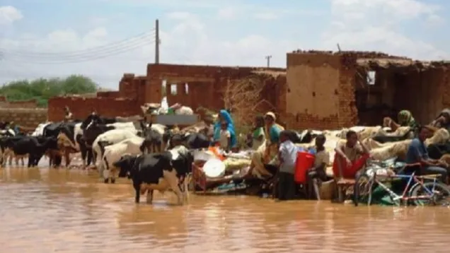 السودان اليوم_1.jpg
