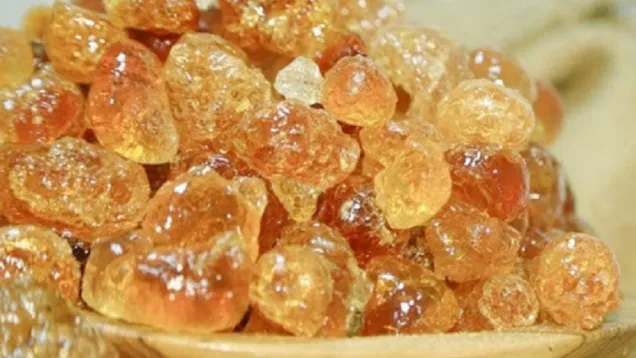 الصمغ- سونا.jpg