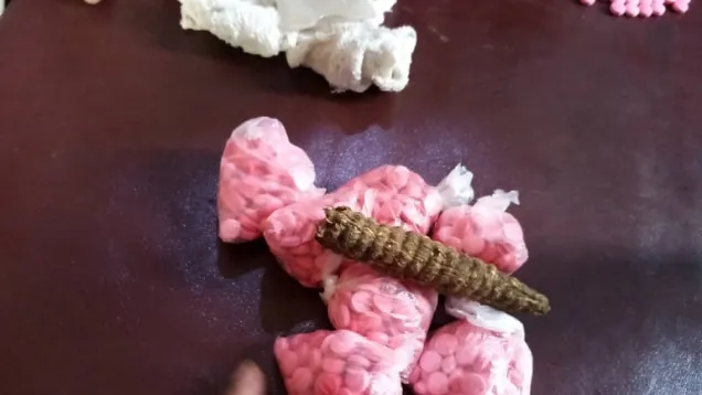 بنقو.jpg