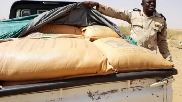 تهريب- السودان الآن.jpg