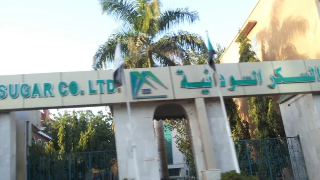 سكر.jpg