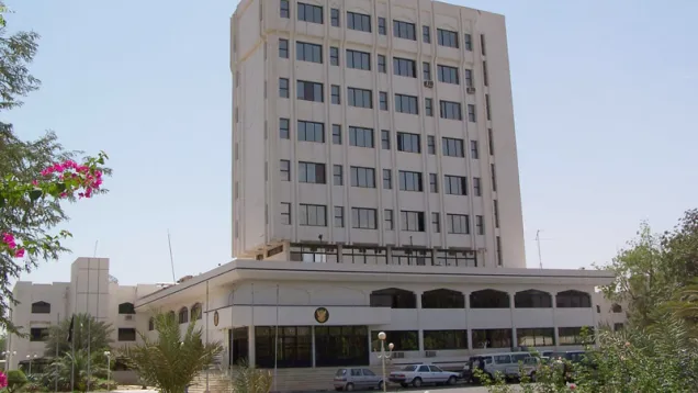 سونا_1.jpg