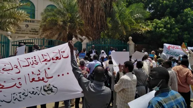لجنة-اساتذة-الجامعات.jpg