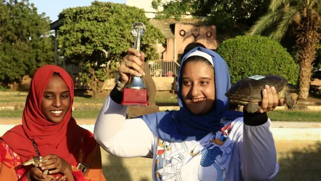 نيوز سي أن.jpg