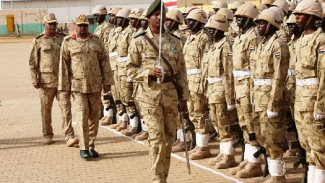 هيئة -الشاهد.jpg