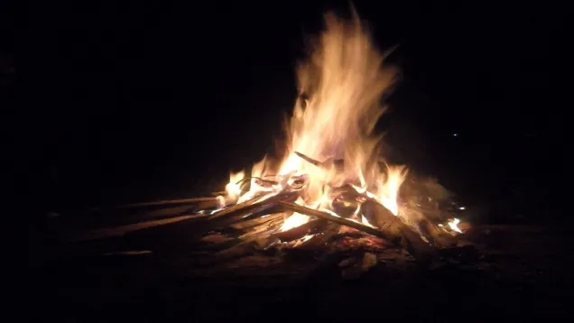 1200px-Burning_wood.jpg