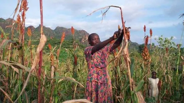 1280px-Nuba_farming_2.jpg