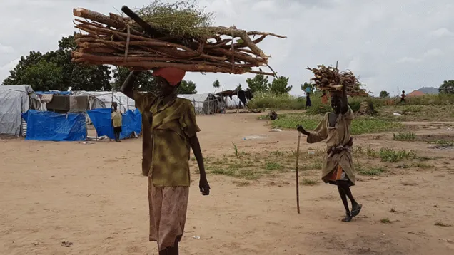 SSD-BANNERTwo-women-return-from-collectiong-firewood-in-South-Sudan.gif