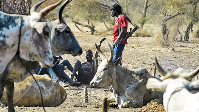 احدي معسكرات الابقار بجنوب السودان (1).jpg