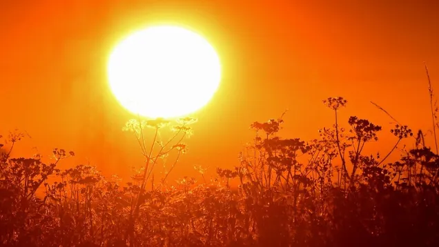 heatwave.jpg