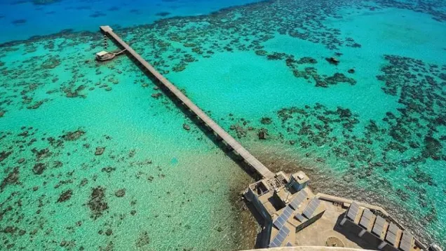 جزيرة-سنقنيب.jpg