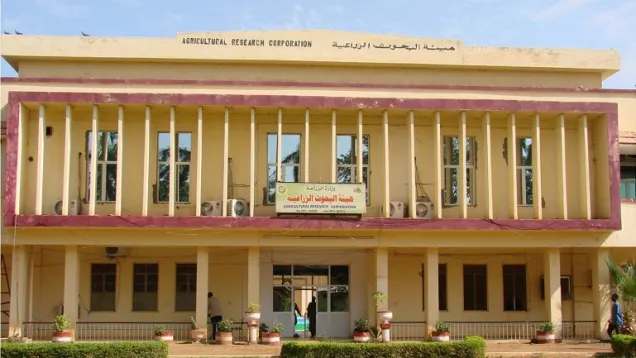 هيئة-البحوث-الزراعية-السودانية.jpg