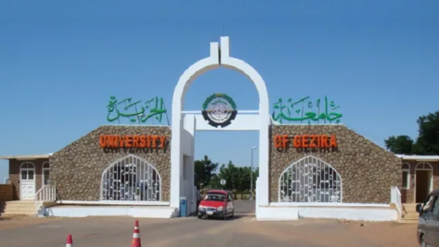 جامعة_الجزيرة.jpg