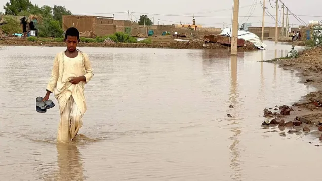 سيول المناقل.jpg