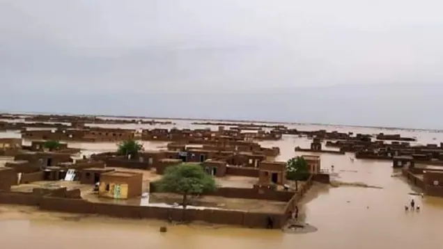 1-1456644.jpg
