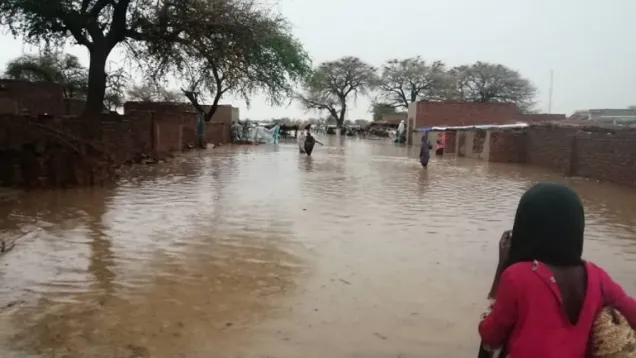 Floods-in-North-Darfur-State-Sudan-August-2022-Sudanese-Red-Crescent-1024x768.jpeg