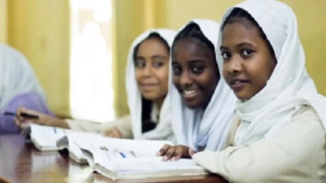 154-185552-hamdouk-directs-exclusion-study-sudan_700x400.png