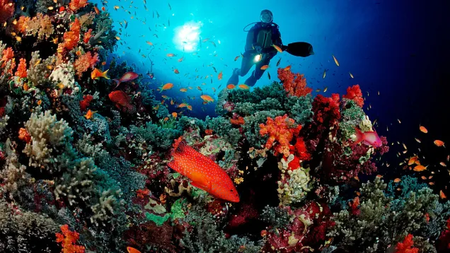 GettyImages-549036569.jpg
