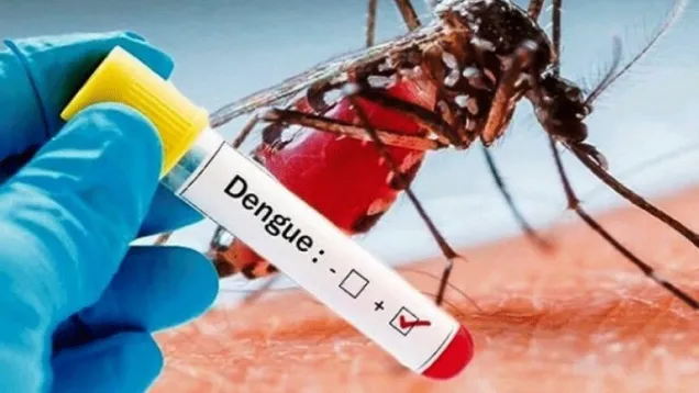 dengue-fever.jpg