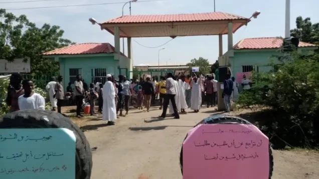 محلية-حلفا-الجديدة.jpg